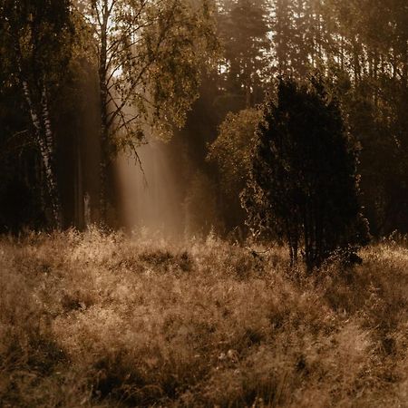Stiftsgarden Tallnaes Skillingaryd Buitenkant foto