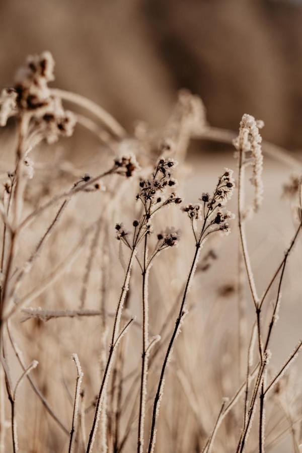 Stiftsgarden Tallnaes Skillingaryd Buitenkant foto